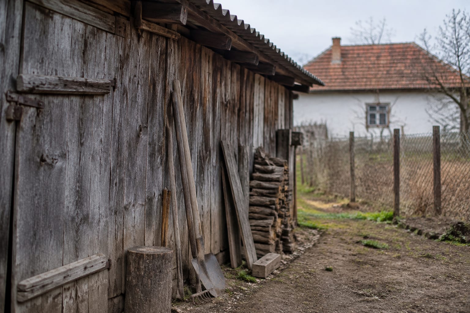 Anexe în curte la hotarul proprietății
